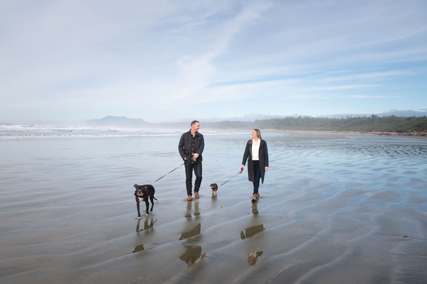 A couple and their dog take a peaceful walk along a reflective beach at low tide.