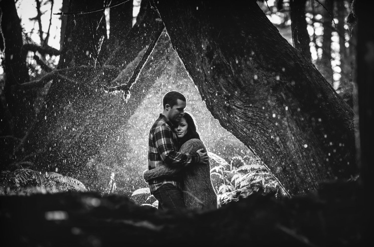Black and white forest scene with atmospheric mist and trees.