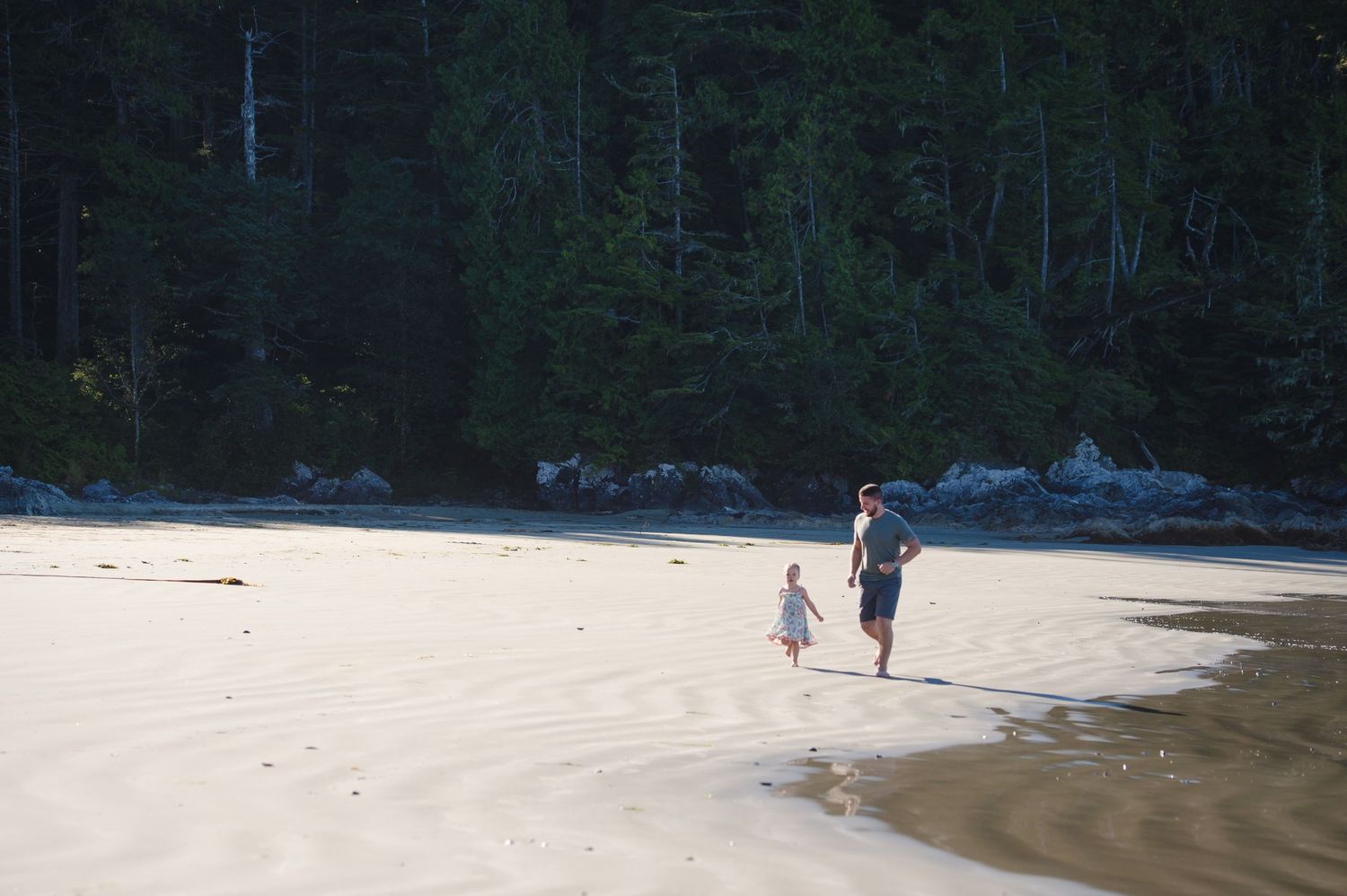 Peaceful beach scene with forest backdrop and sandy shoreline.