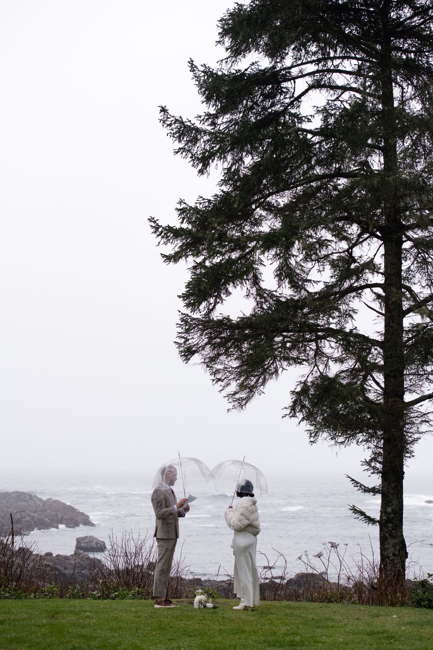 People in white stand near tall evergreen trees overlooking a rocky coastal landscape on an overcast day.