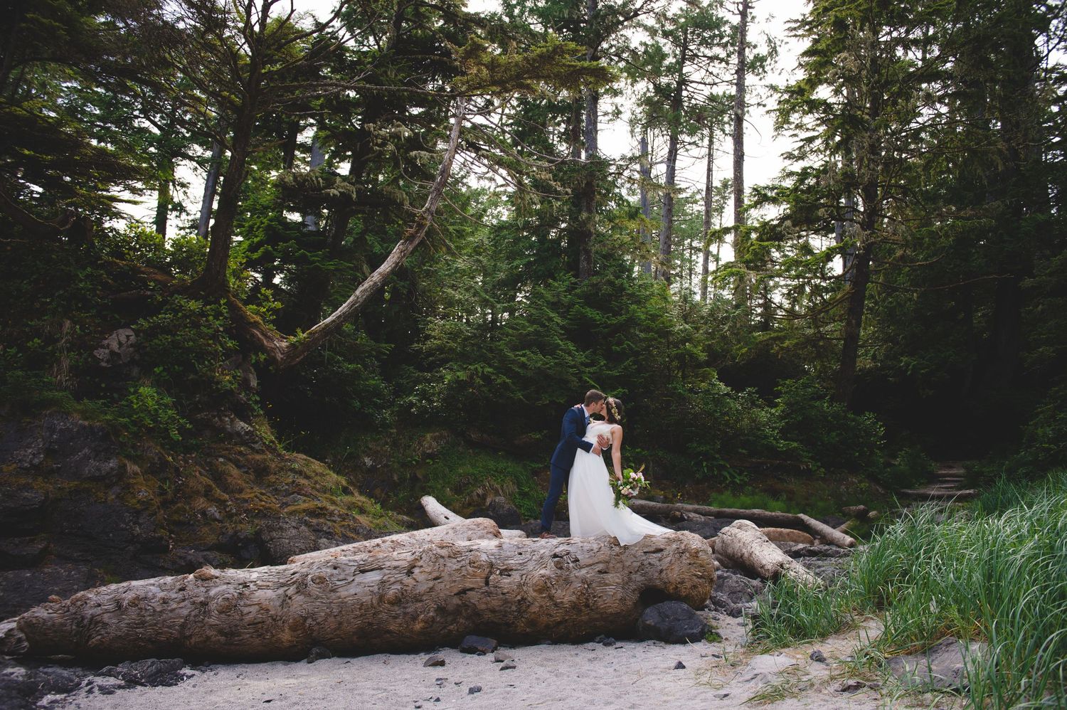 Scenic forest wedding location with evergreen trees and rocky beach landscape.