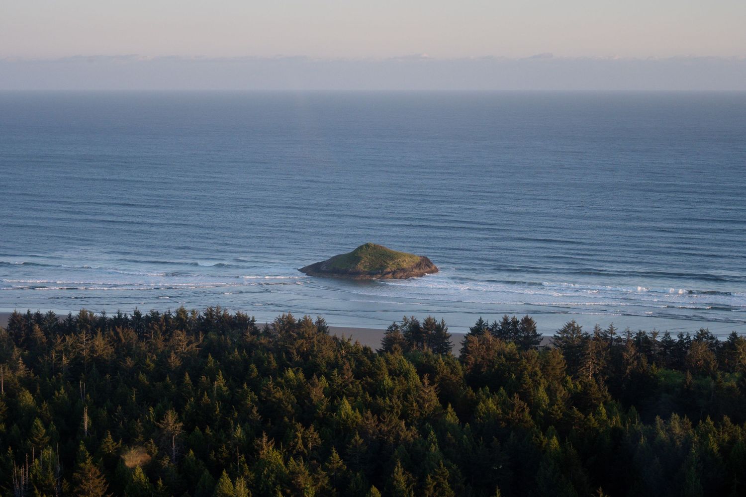 Small rocky island surrounded by ocean waves near a dense evergreen forest coastline.
