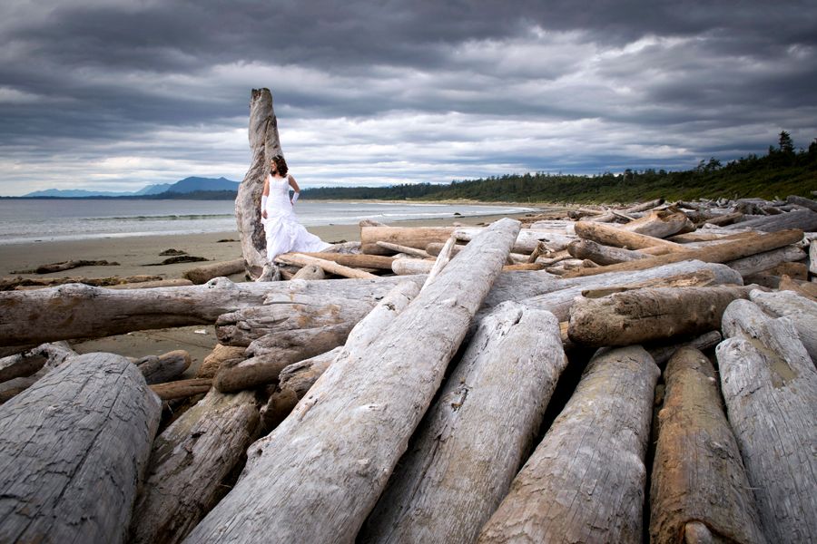 Romantic couple portraits on driftwood logs along a moody coastline.