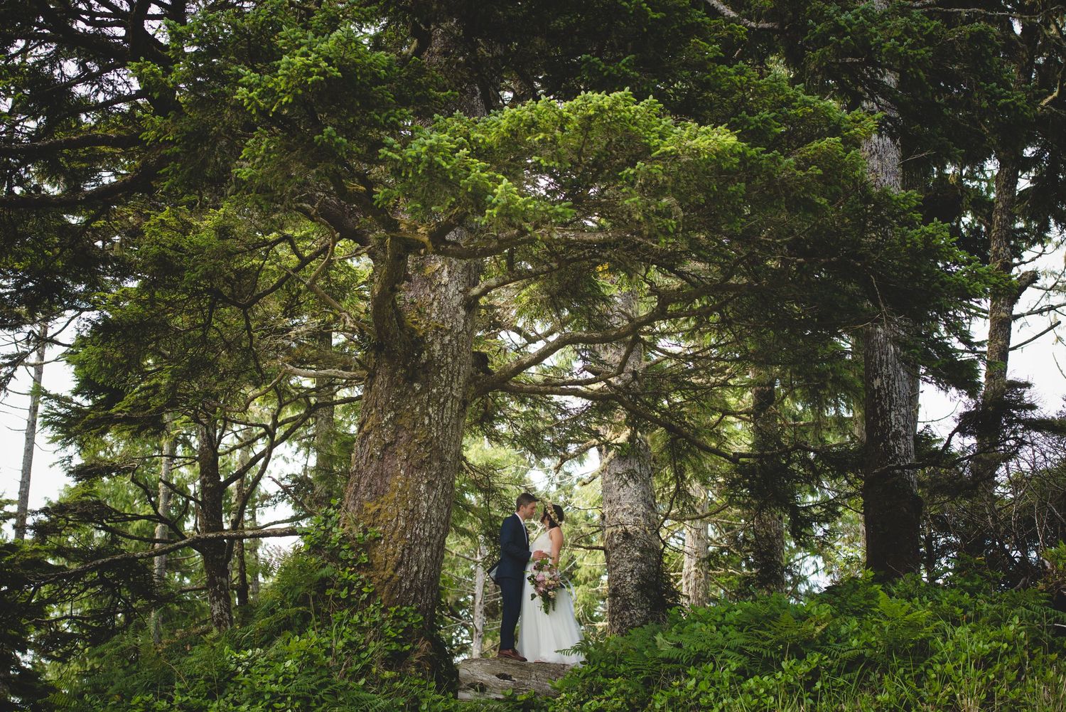 A couple stands beneath tall evergreen trees in a misty Pacific Northwest forest.