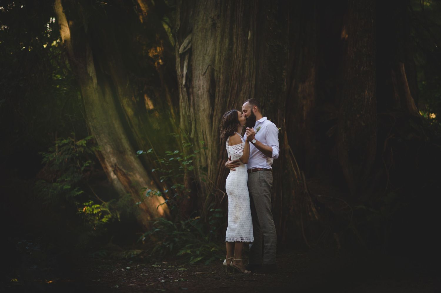 A romantic couple embraces in a moody forest setting with dramatic lighting filtering through the trees.