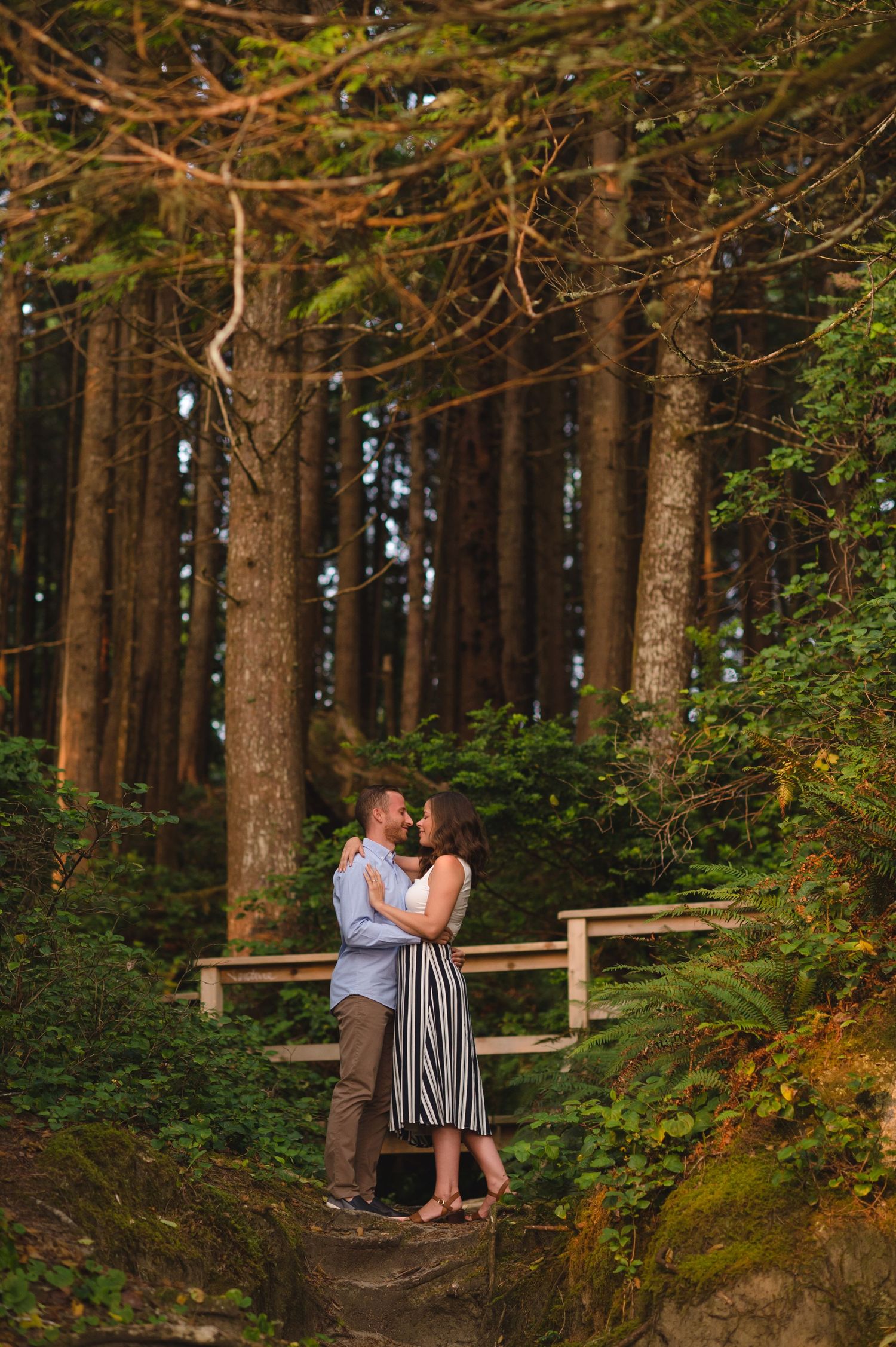 A romantic forest engagement session shows a couple sitting on a wooden bench surrounded by tall pine trees.