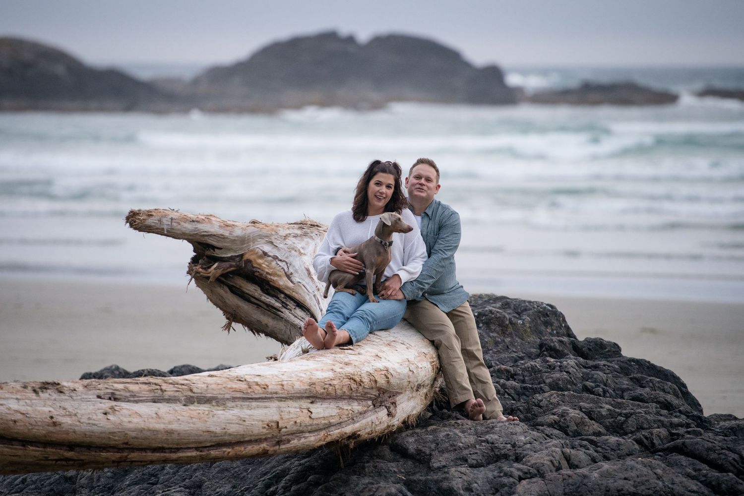 A couple sits with their dog on driftwood overlooking a dramatic coastal landscape.
