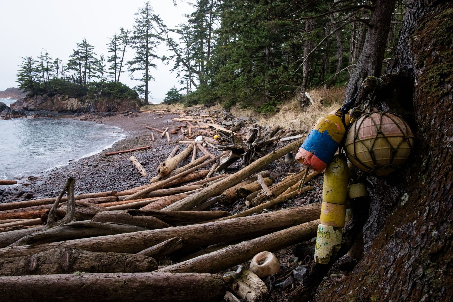 Scenic coastal landscape with driftwood logs scattered along rocky Pacific Northwest beach at sunset.