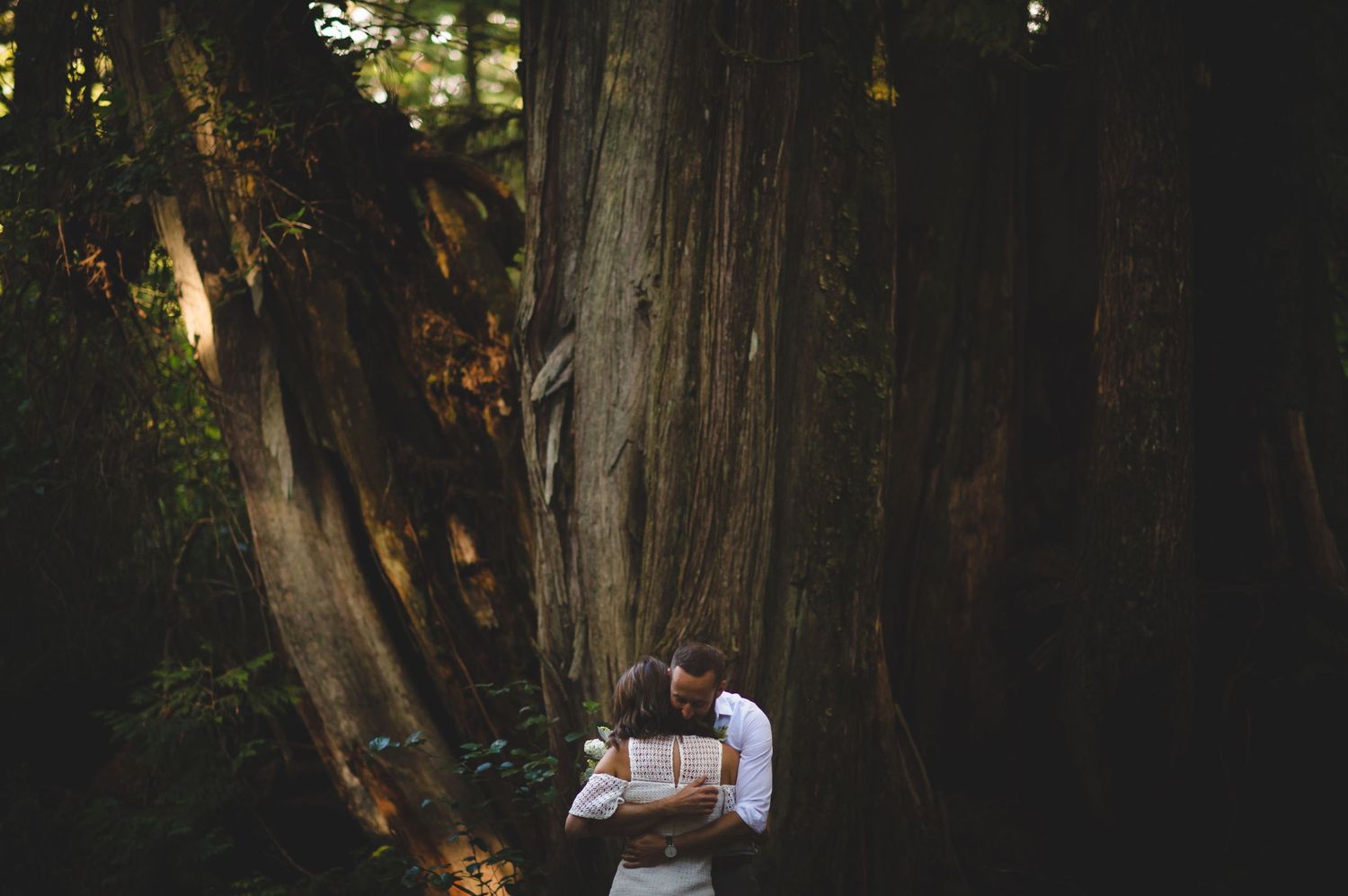 Ancient hollow tree trunk in a dark forest setting with filtered sunlight creating dramatic shadows.