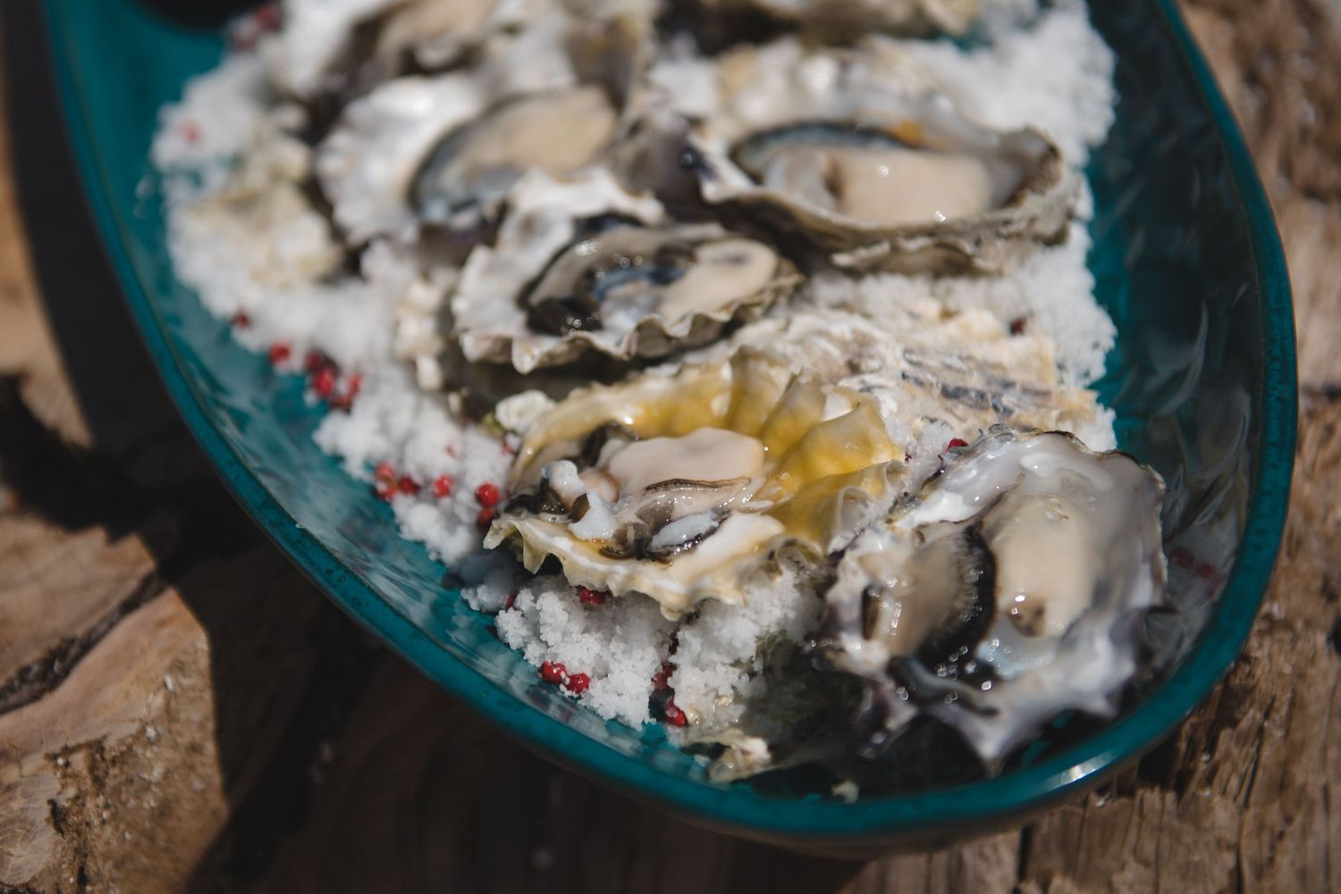 Fresh oysters served on ice in a turquoise bowl at a seaside wedding reception.