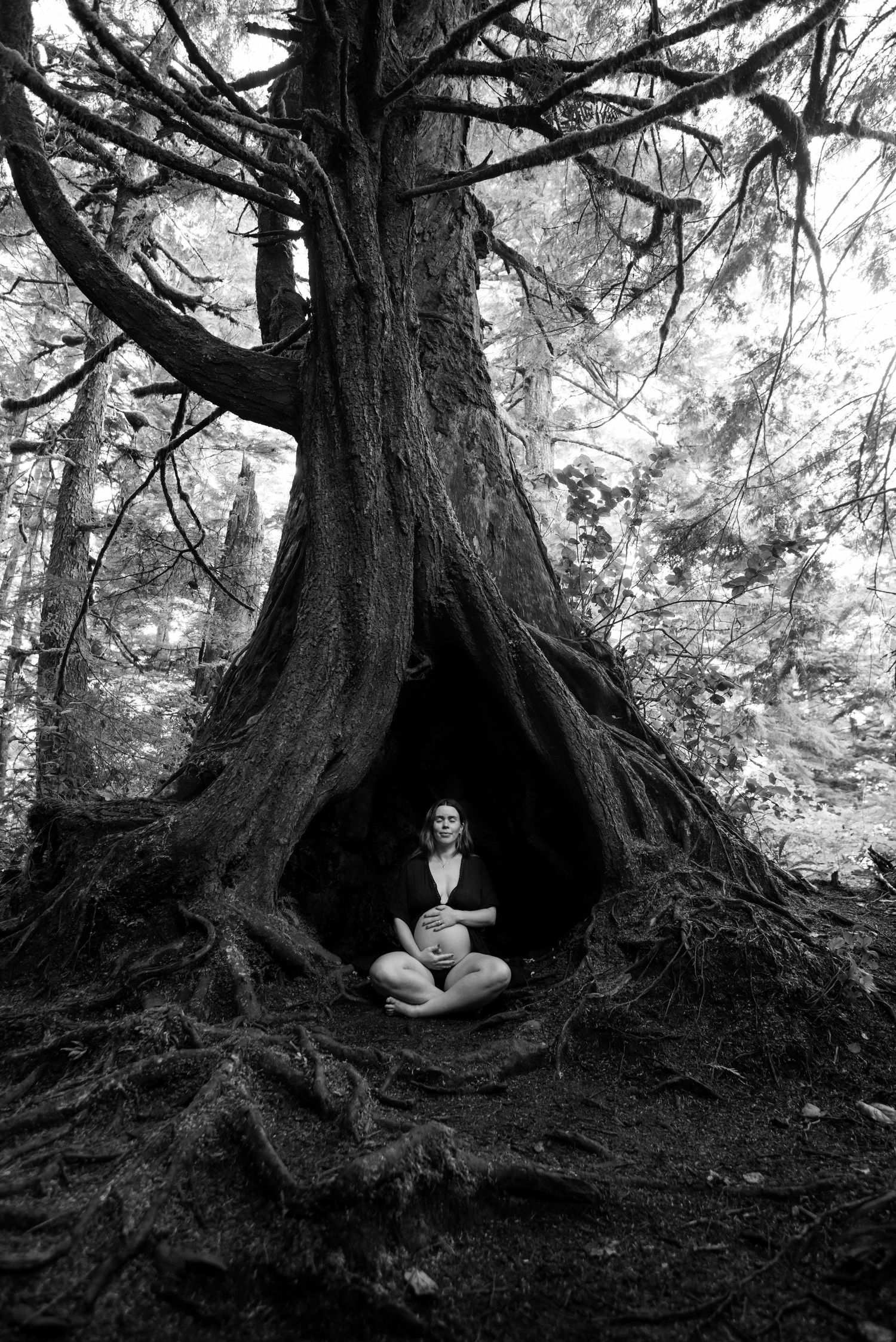 Series of black and white photos showing a person nestled in the roots of an ancient tree.