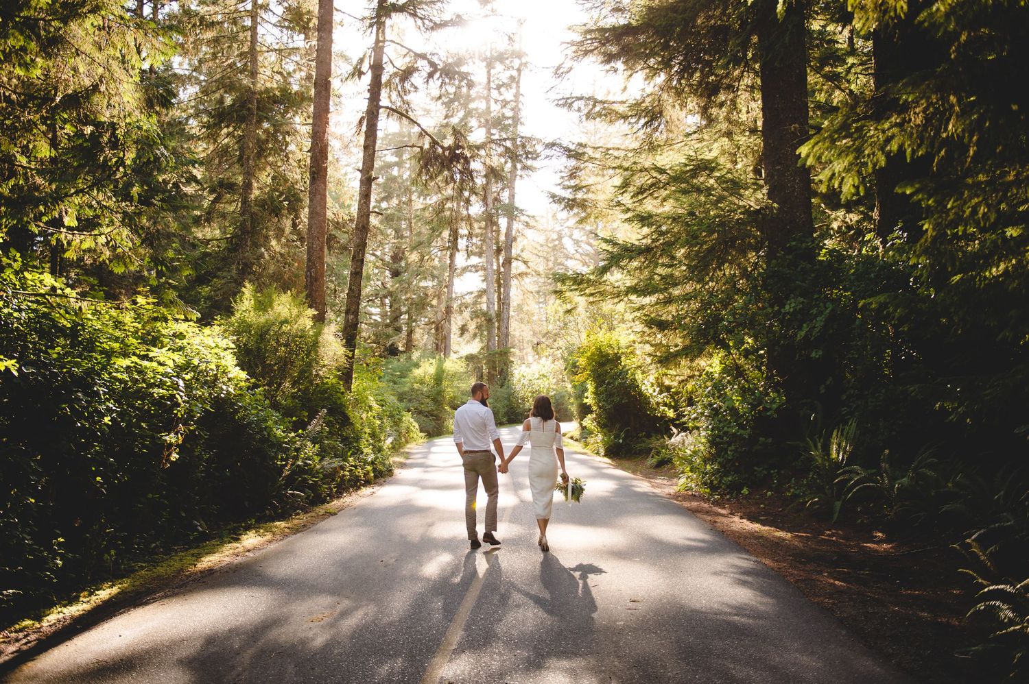 Sunlit forest path through tall pine trees with golden light filtering through the canopy.