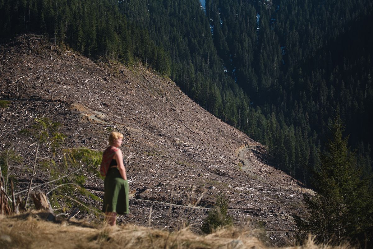 Fairy Creek blockade and clearcut.