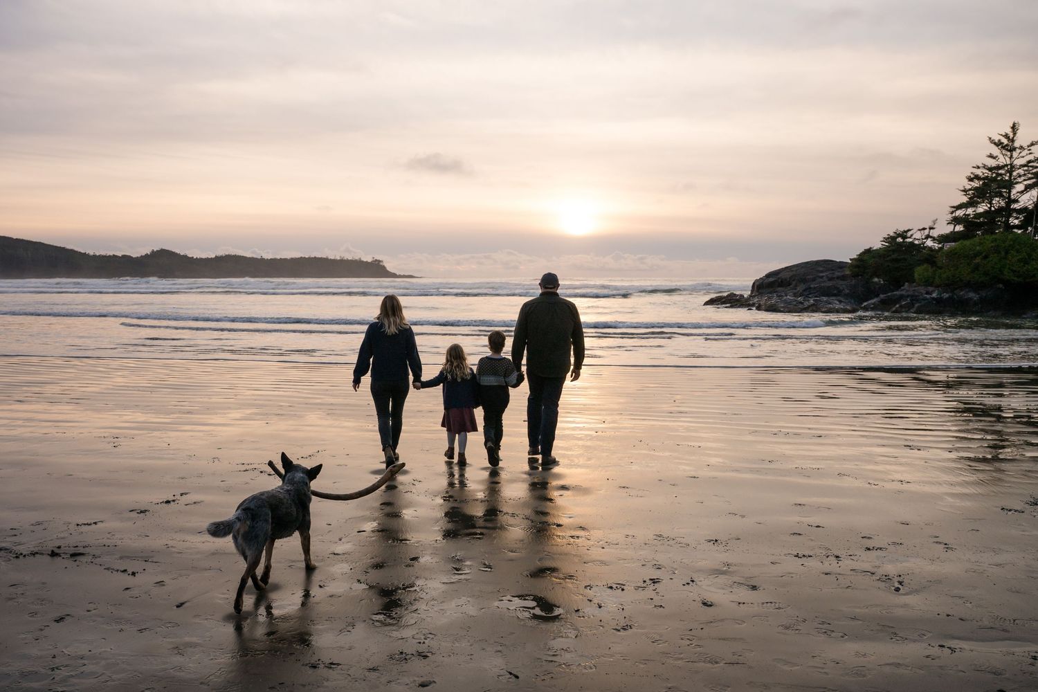 Silhouettes of people and a dog walking along a misty beach at sunset.