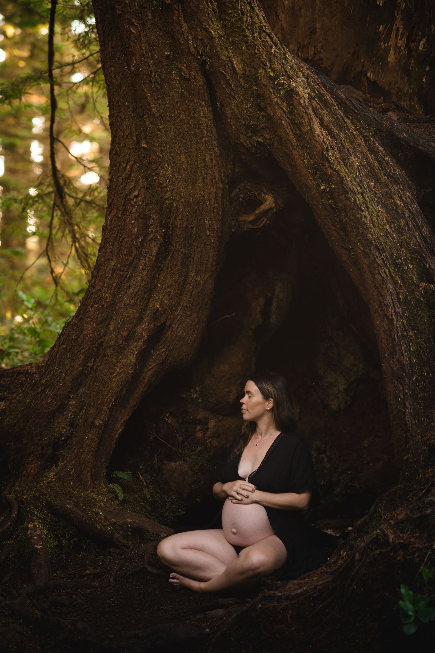Person sitting inside a hollow tree trunk in a mystical forest setting.