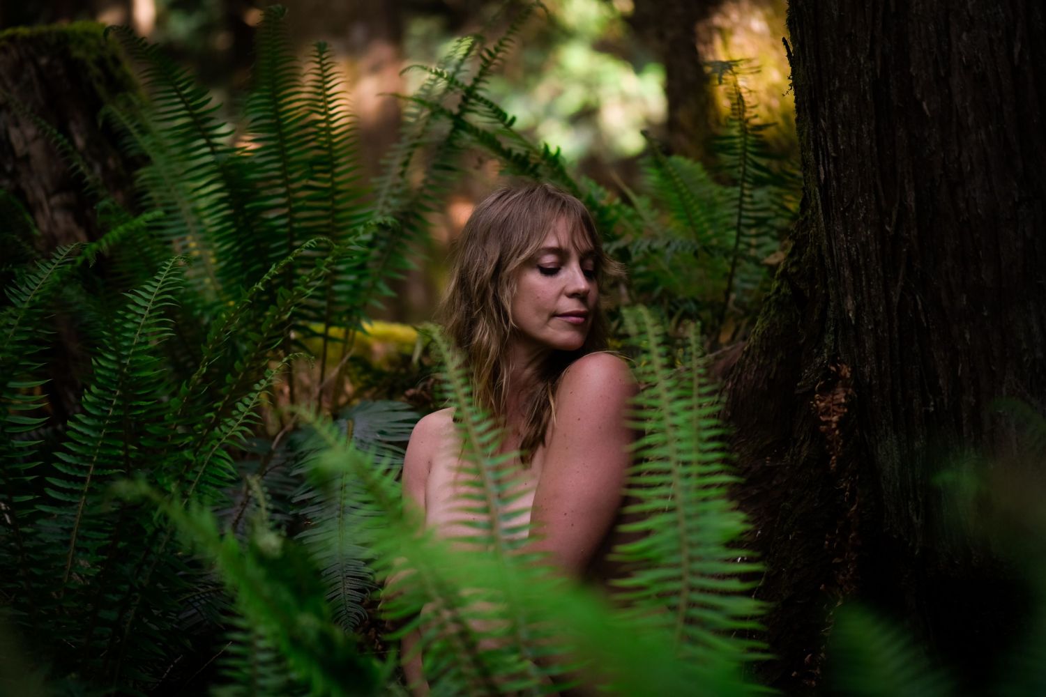 Person photographed through lush green ferns in a forest setting.