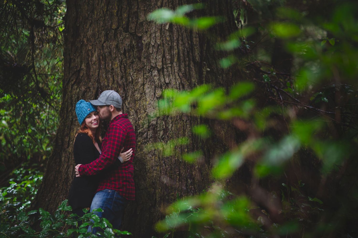 People exploring among giant old growth trees in a lush forest.