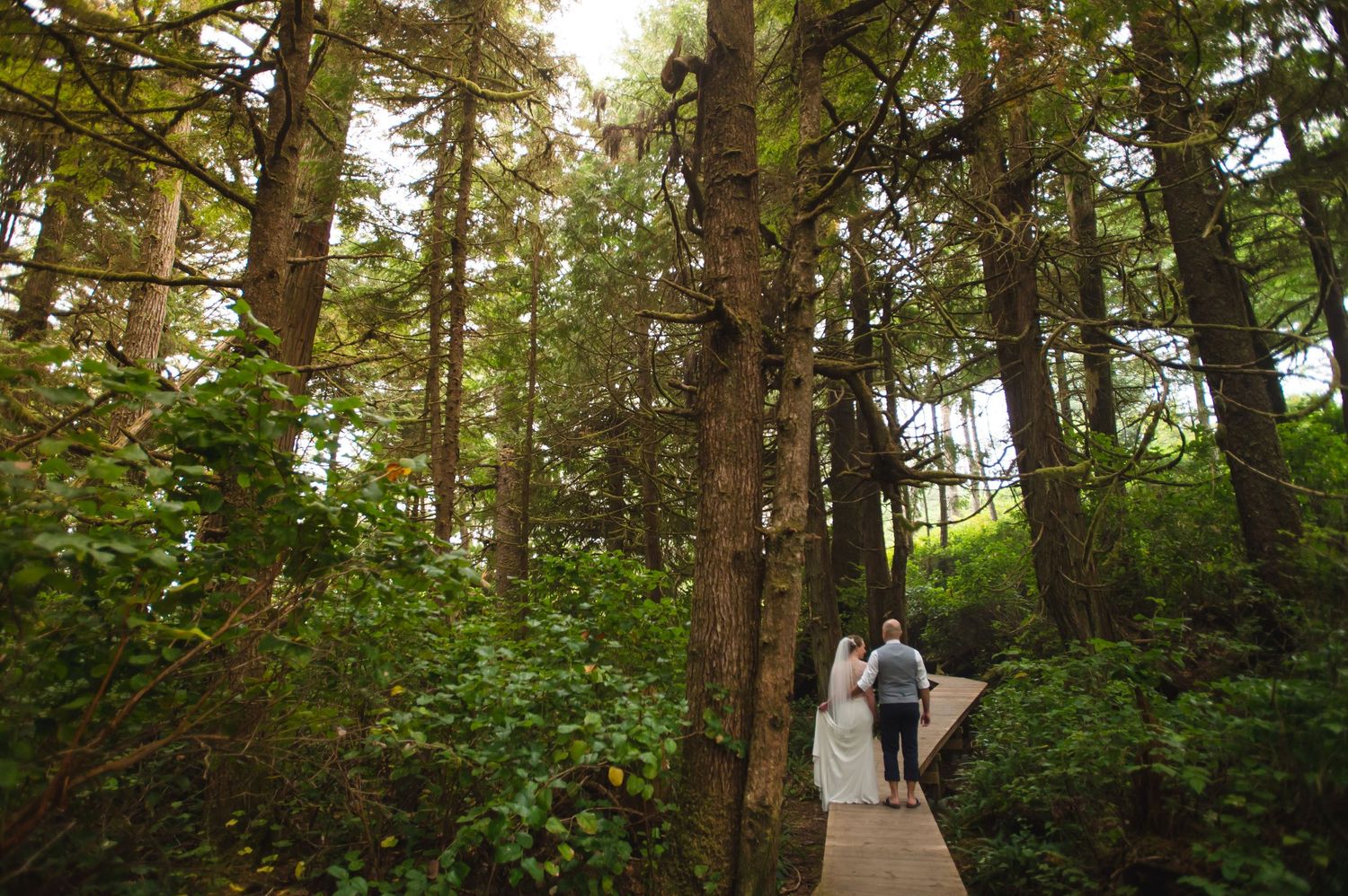 A couple walks along a wooden boardwalk through a dense forest of tall evergreen trees.