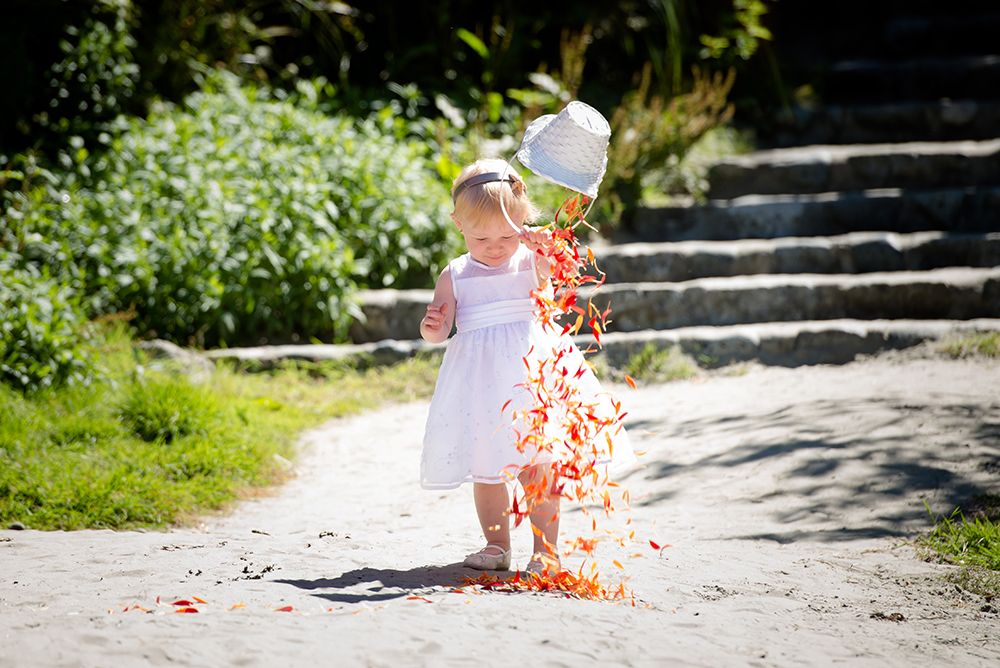 Wedding guests toss coral-colored flower petals along a sunlit outdoor path during a celebration.