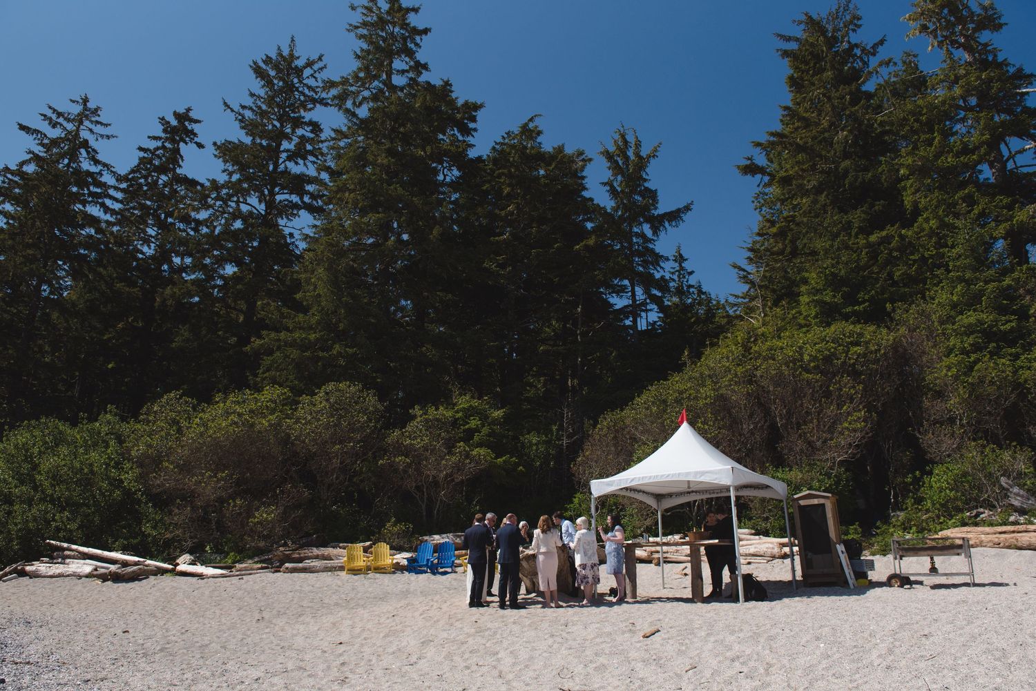 Beach wedding ceremony setup with white chairs and arch against evergreen trees and ocean backdrop.
