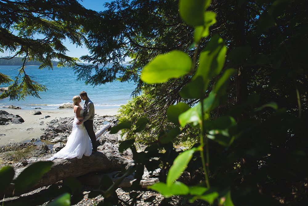 Beautiful coastal wedding ceremony setting with evergreen trees framing the ocean view.