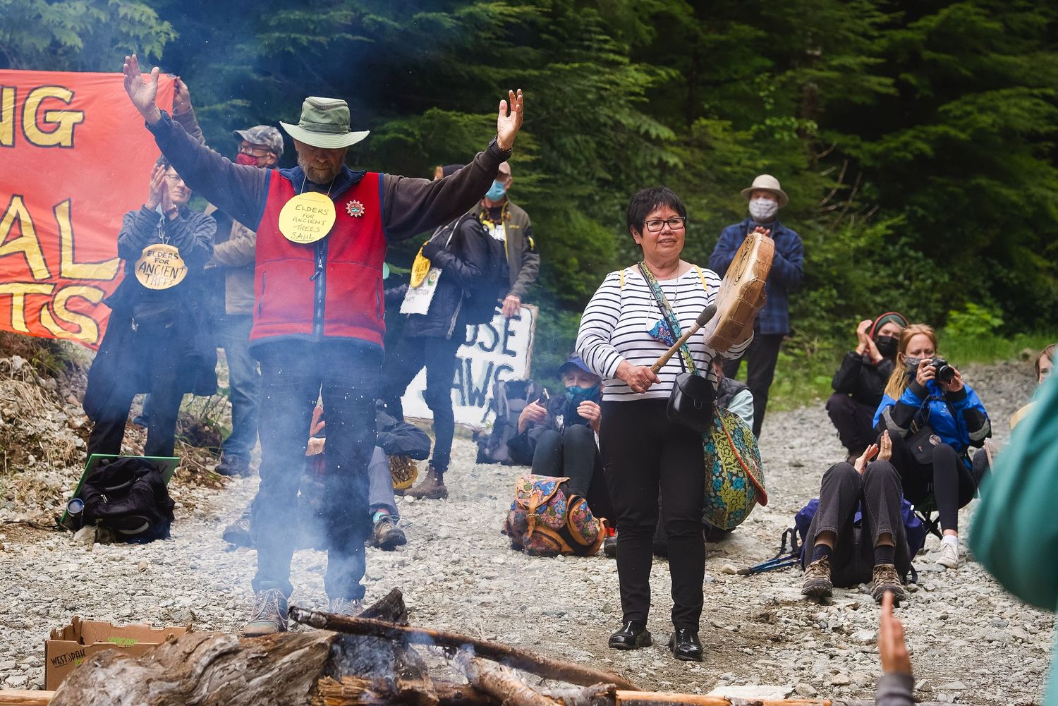 Fairy Creek blockade. Colorful banners and decorations hang in an outdoor forest gathering space.
