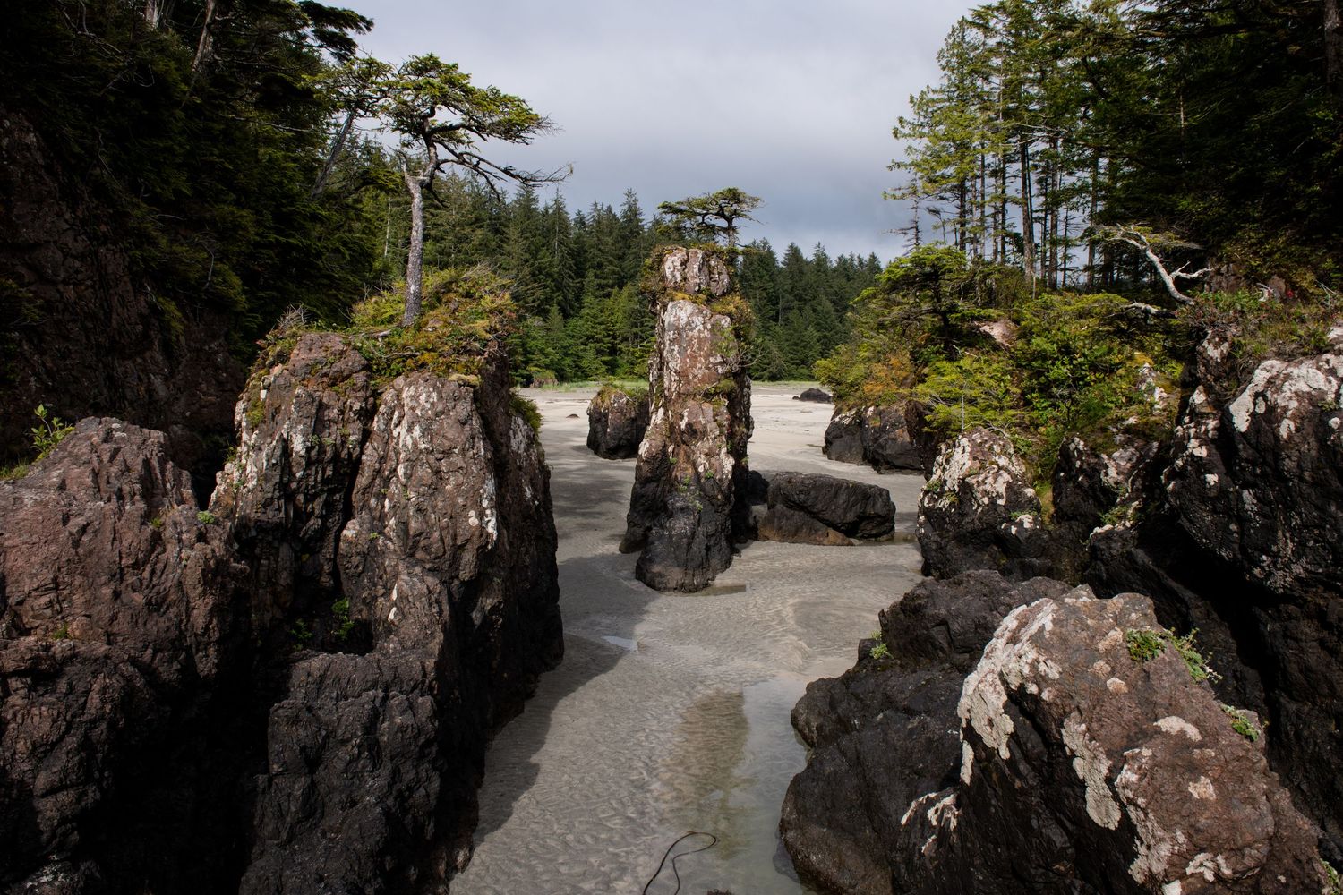 Rocky coastal formation with jagged black stones creating a natural pathway through rugged terrain.