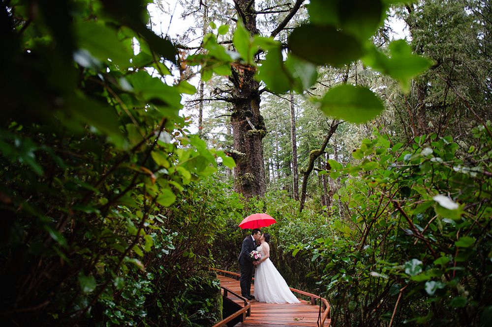 A romantic woodland wedding ceremony scene with towering evergreen trees.