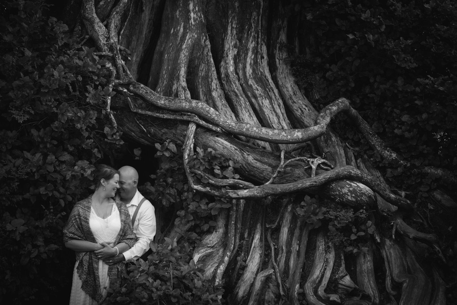 Black and white photo showing exposed tree roots against dark background.