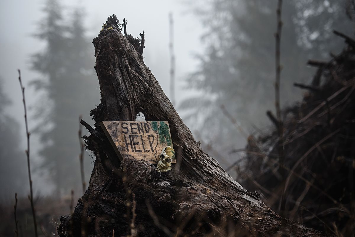 Fairy Creek blockade. Foggy forest scene with wooden stump featuring protest sign.