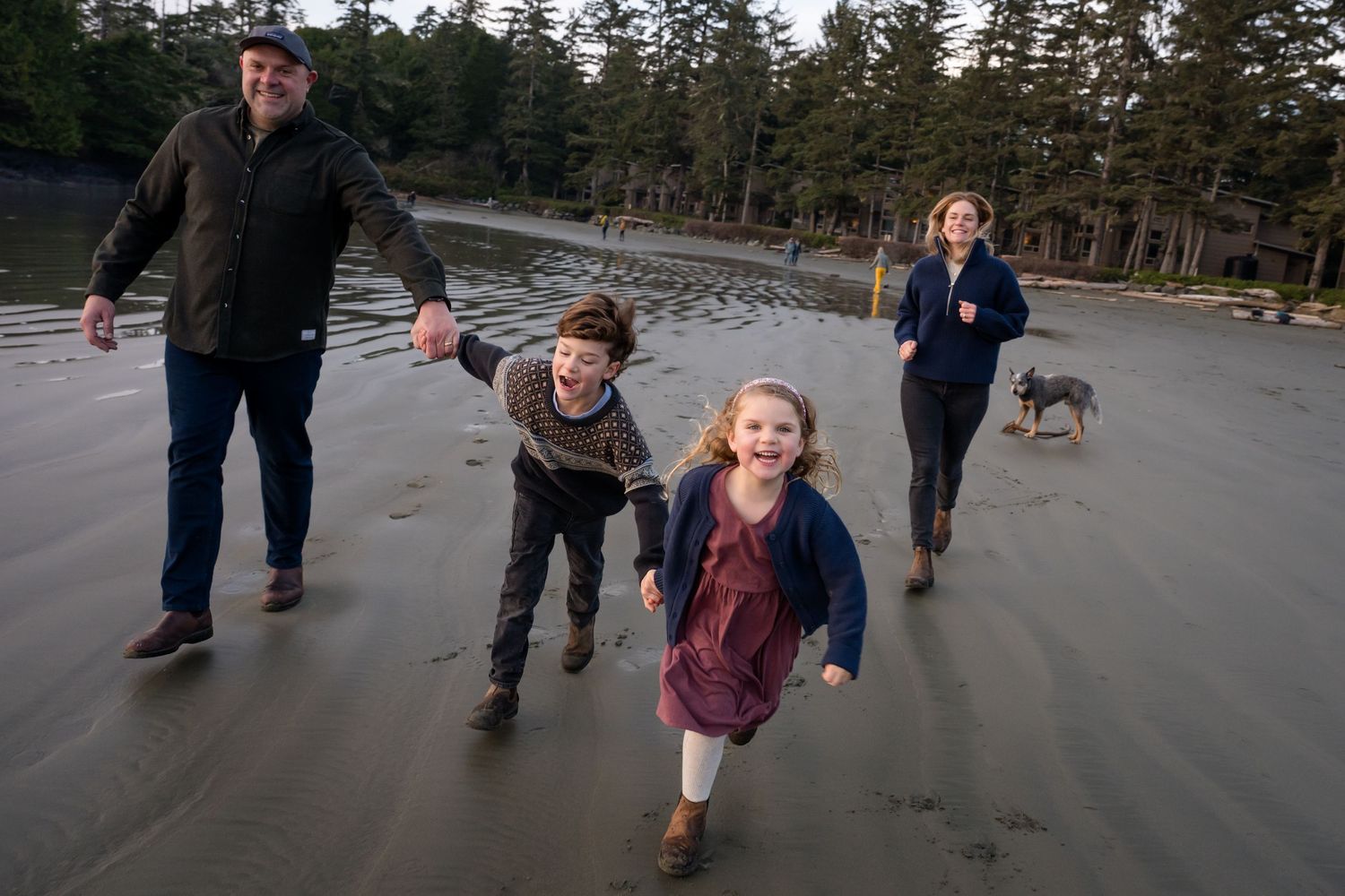 People and dogs playing together on a scenic beach with evergreen trees in the background.