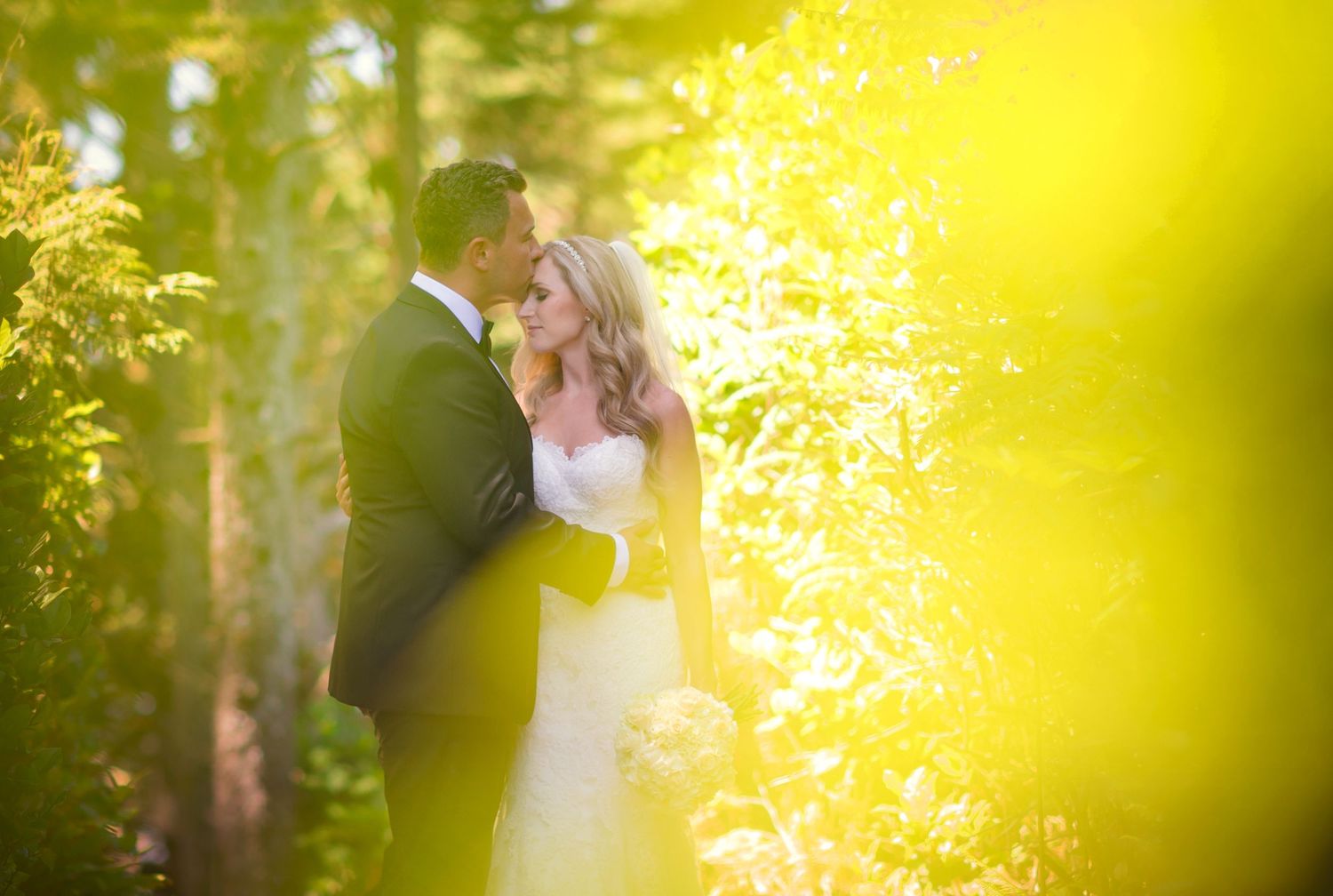 Romantic golden sunlit wedding portraits through trees and foliage.