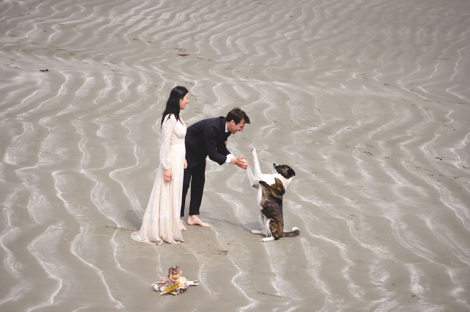 A couple plays with their dogs on rippled beach sand during their wedding photoshoot.