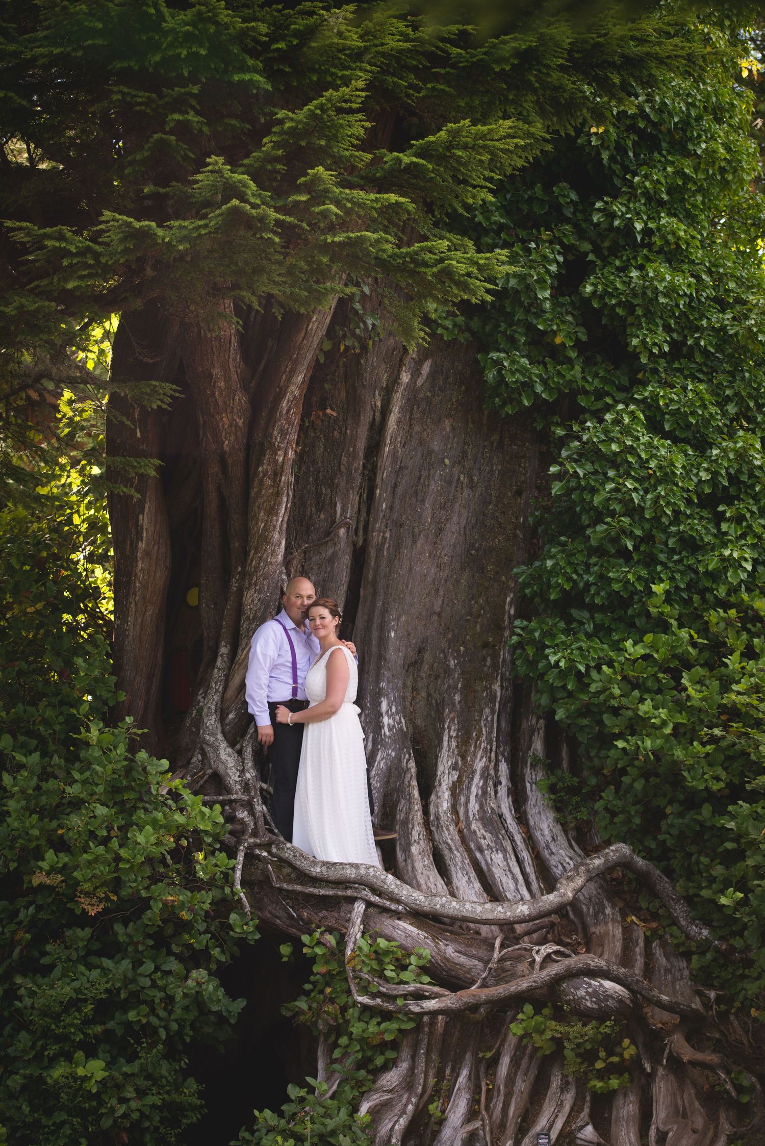 Wedding couple poses among ancient tree roots in a mystical forest setting.