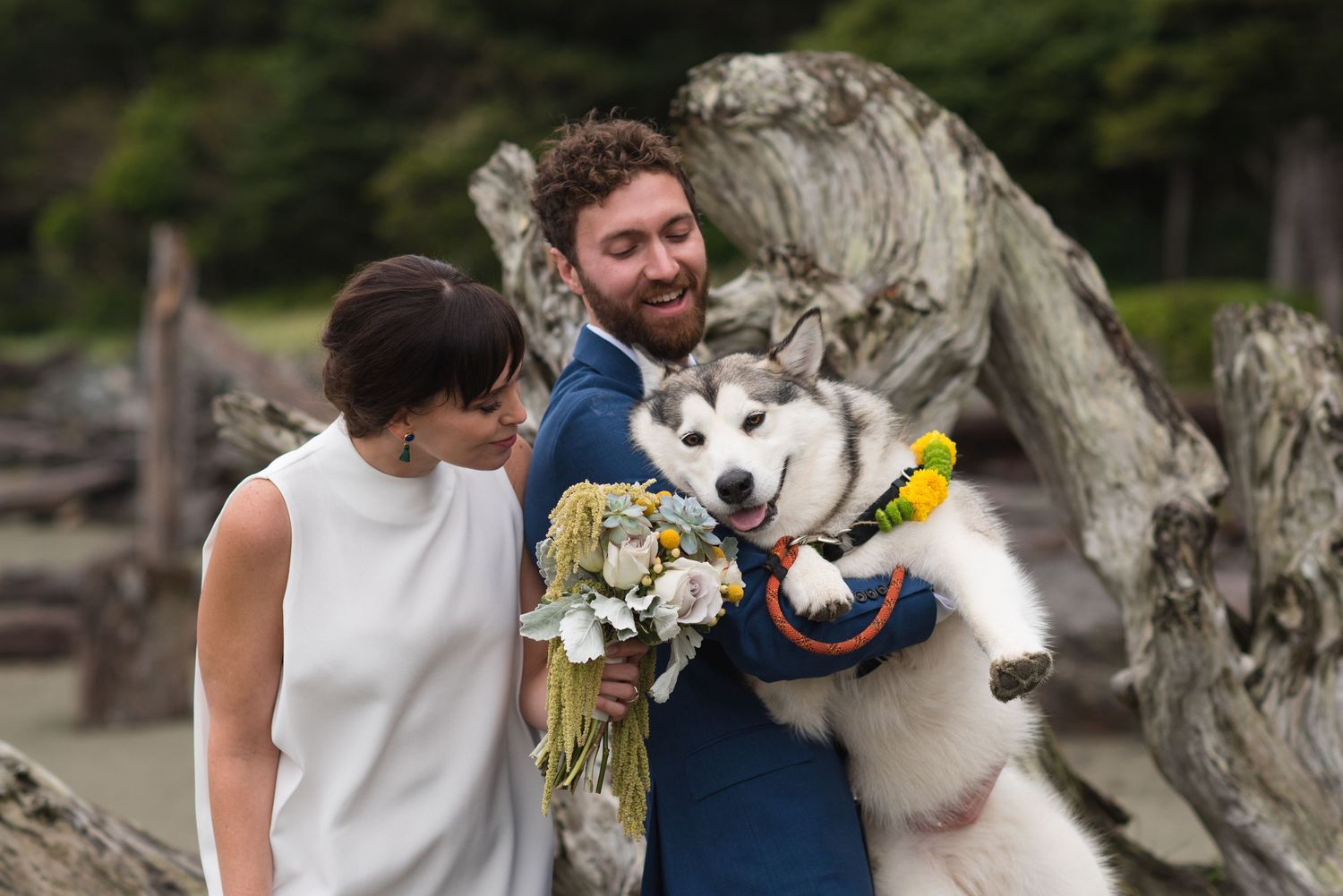 A joyful wedding moment with a fluffy white dog joining the celebration on a beach with driftwood.