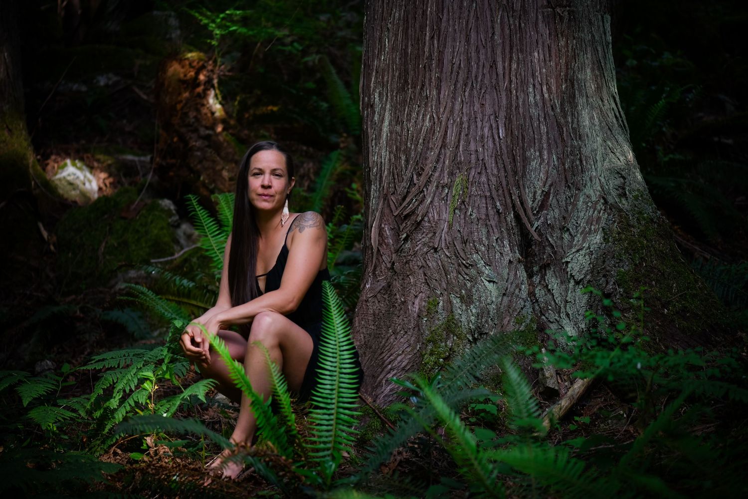 Mossy tree trunk and ferns create mystical woodland atmosphere.