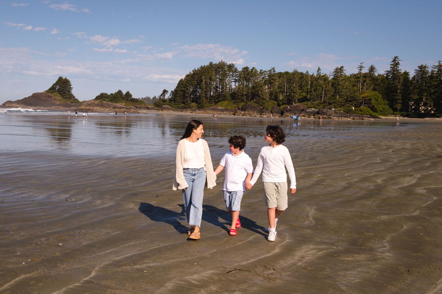 Panoramic view of a beach landscape with mountains, trees and people walking along the shoreline.