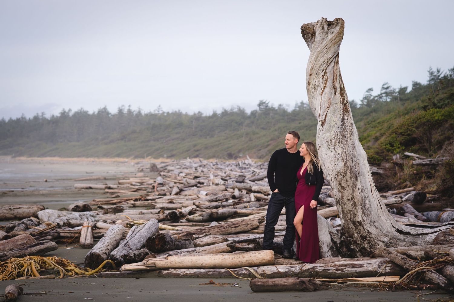 Coastal landscape with weathered driftwood logs scattered along misty beach.