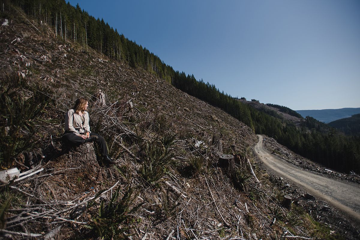 Aerial view of a winding mountain road cutting through a clearcut.