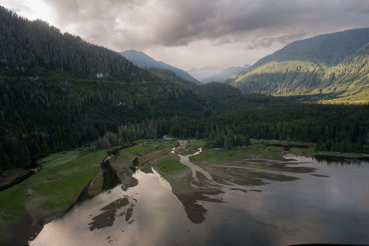 Aerial view of a lush green valley with a winding river reflecting stormy skies, surrounded by dense forest and mountains.
