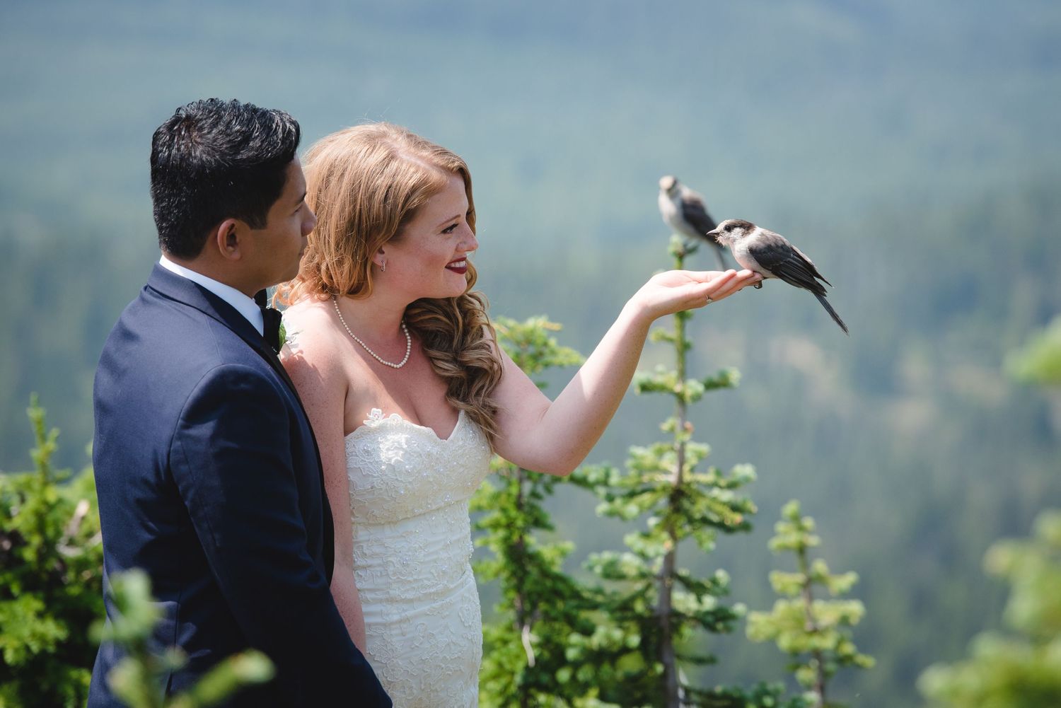 Wedding couple poses against scenic mountain backdrop with dramatic skies.