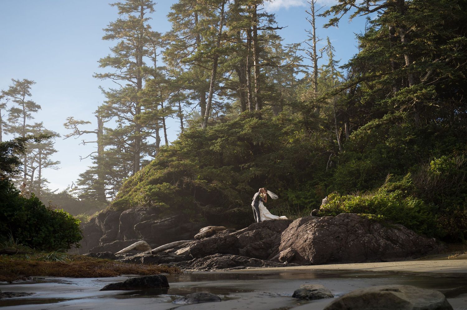 Scenic Pacific Northwest coastline with tall evergreen trees and rocky beach landscape.
