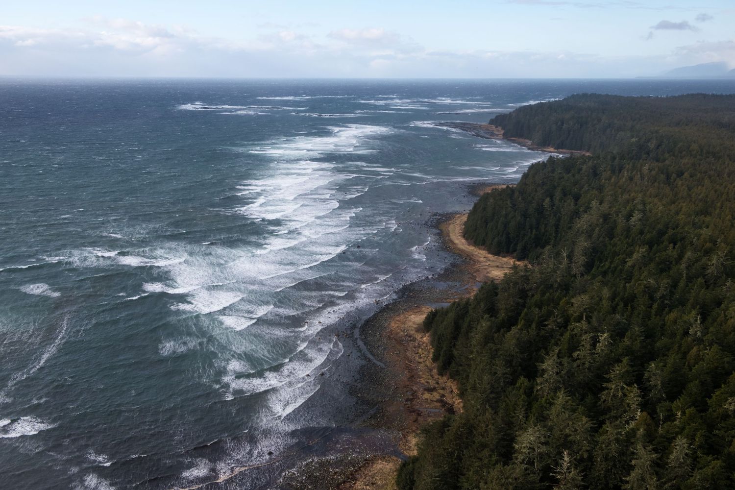 Rugged Pacific Northwest coastline with crashing waves against forested cliffs and rocky shores.