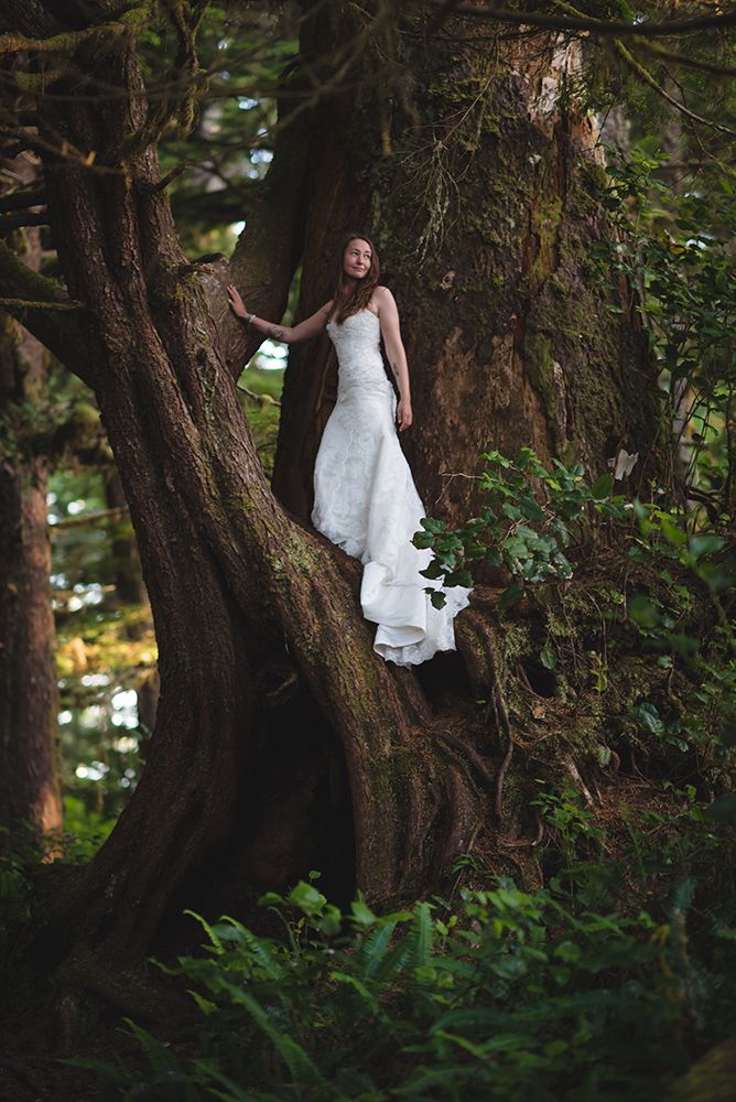 A white wedding dress hangs ethereally among ancient moss-covered trees in a mystical forest.