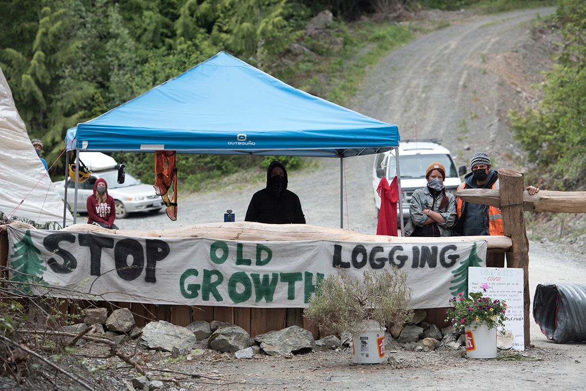 Fairy Creek blockade. Protesters under blue tent with banner reading 'Stop Old Growth' on rural road.