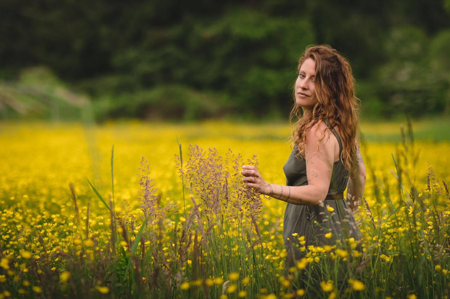 Yellow wildflowers bloom in vast field during golden hour.
