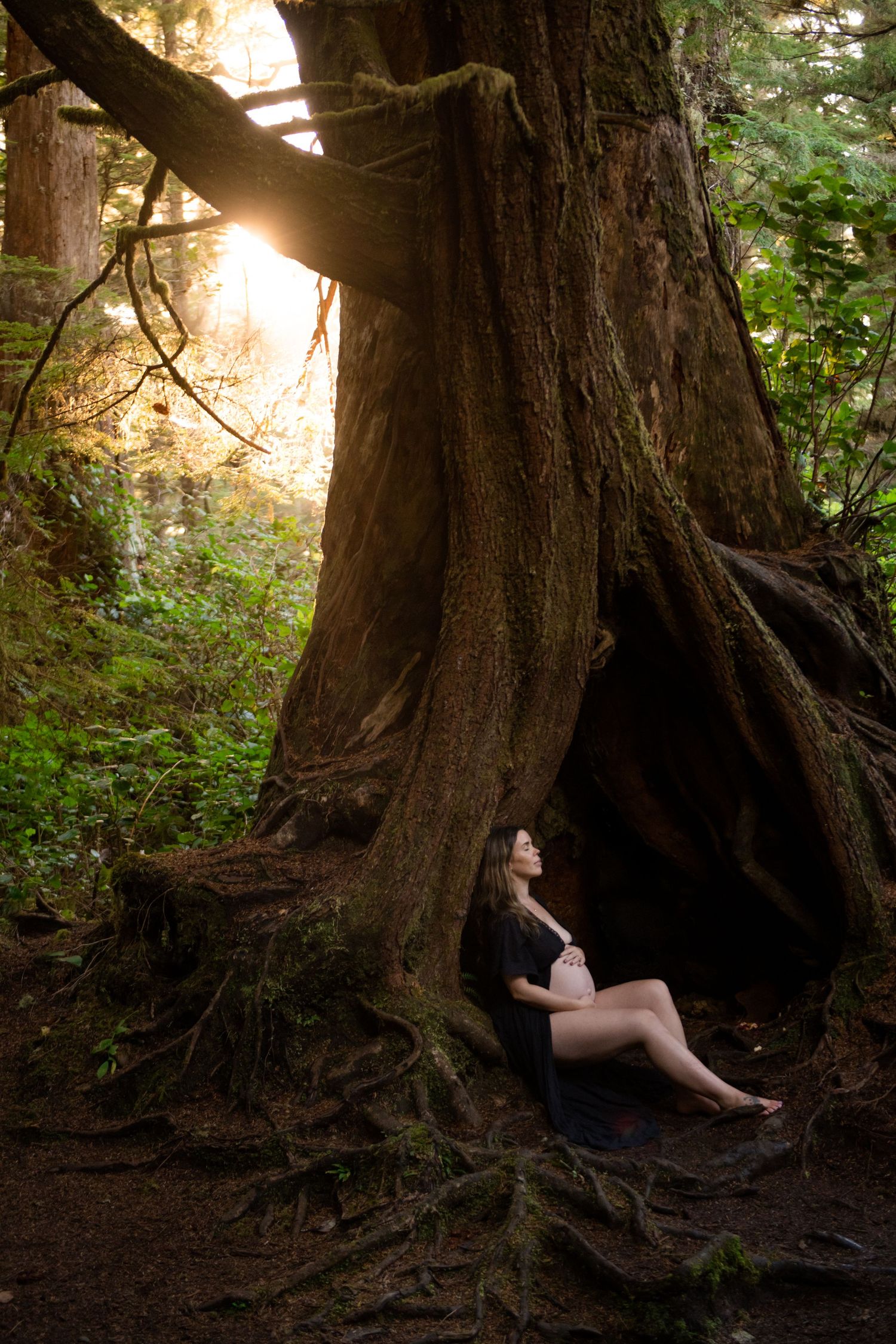 Artistic photo series showing a person resting against massive tree roots in a mystical forest setting.