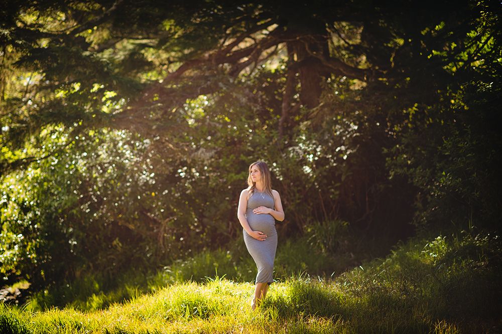 Golden sunlight filters through trees in a lush green forest setting creating a magical outdoor atmosphere.