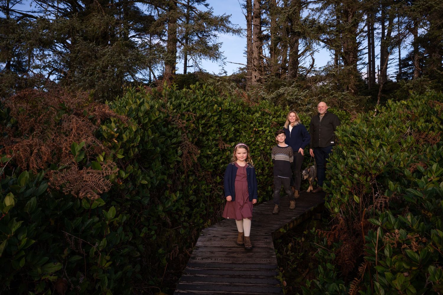 Walking path through dense evergreen forest with wooden boardwalk.
