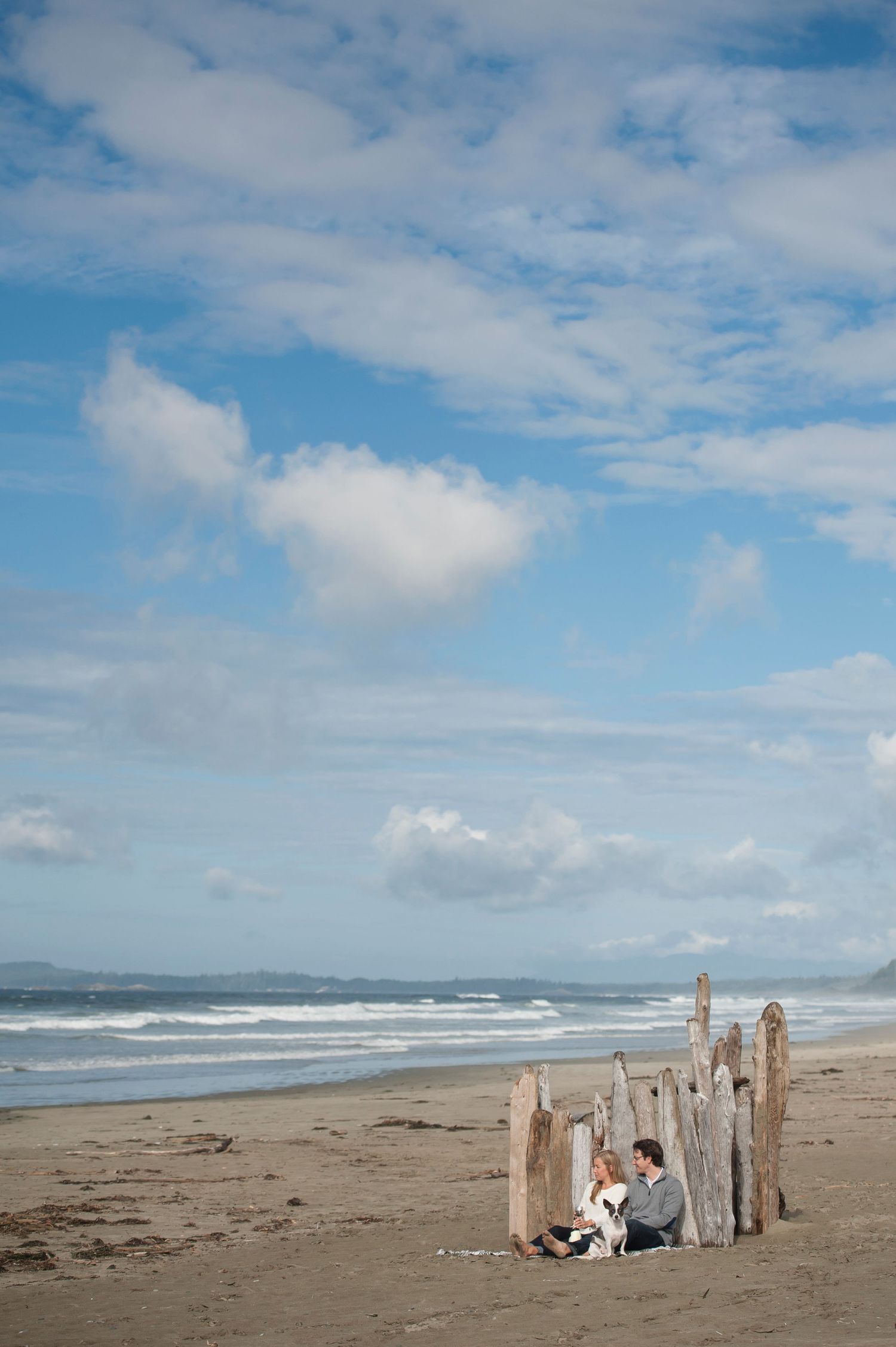 Scenic beach landscape with driftwood posts and rolling waves under blue sky.